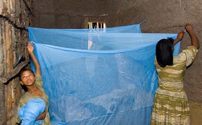 Agency distributes 1.6 million anti-malaria bed nets