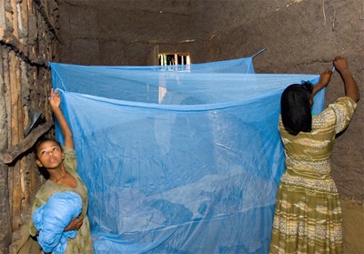 Agency distributes 1.6 million anti-malaria bed nets